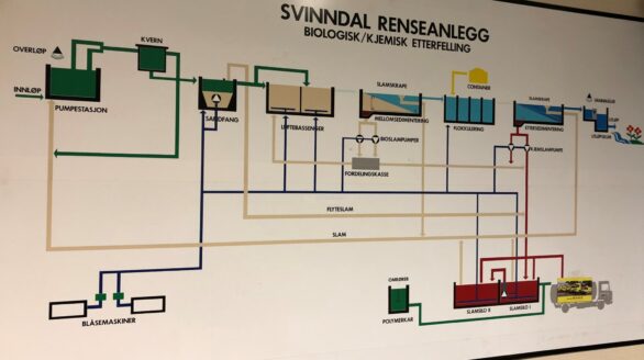 Trinn Svinndal RA EA 11 03 19